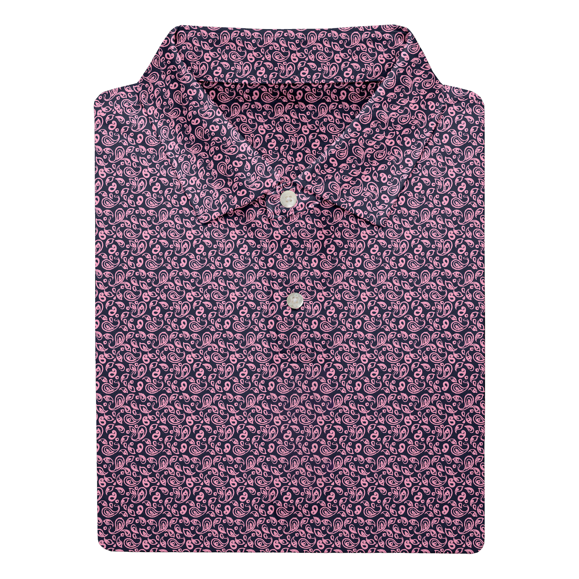 MTK0311.AdmiralBloom